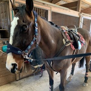 Meet your Posher, Kelly